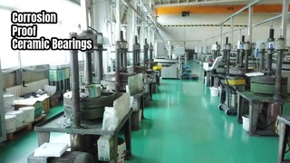 Roulements en céramique pour applications en acier inoxydable